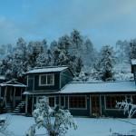 Binsar Eco Camp